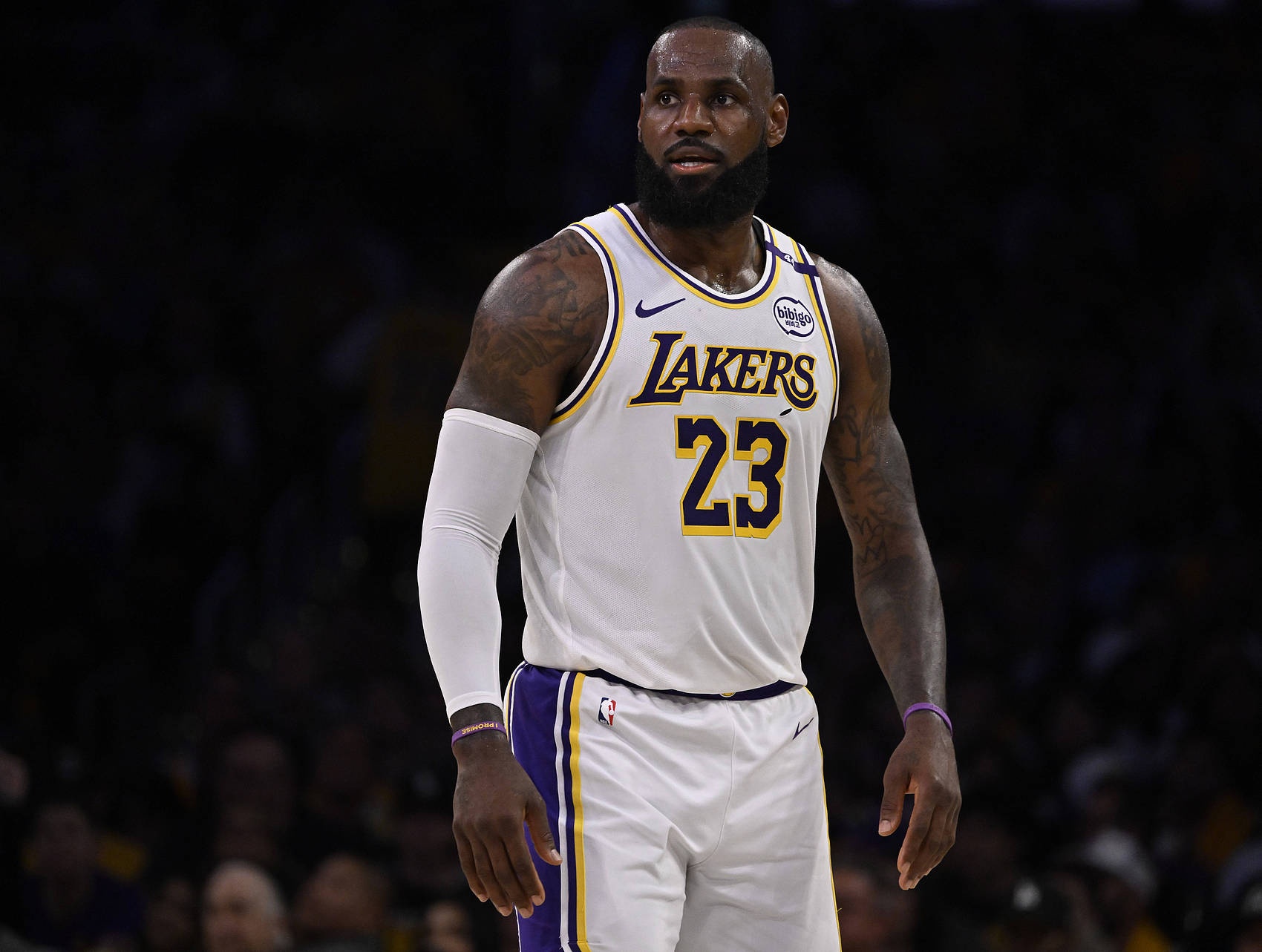 关于詹姆斯遭遇三连败,西班牙队教练面临压力!的信息 关于詹姆斯遭遇三连败,西班牙队教练面临压力!的信息